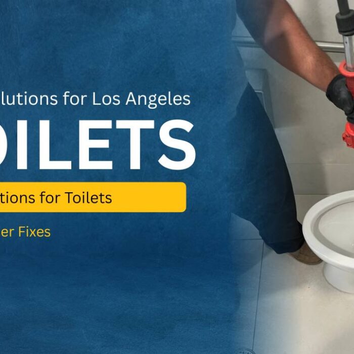 Toilet Repair Service Guide LA